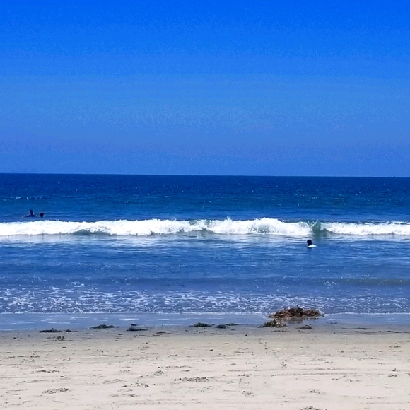 Meet your Posher, Patty - Picture 1 of 1